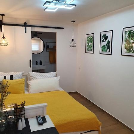 Studio-Apartment kontaktloser Check-in Meckenbeuren Buitenkant foto